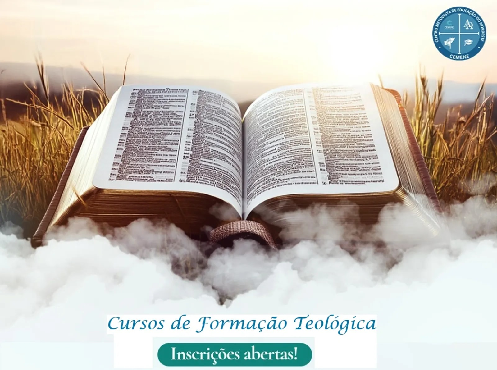Cursos CEMENE